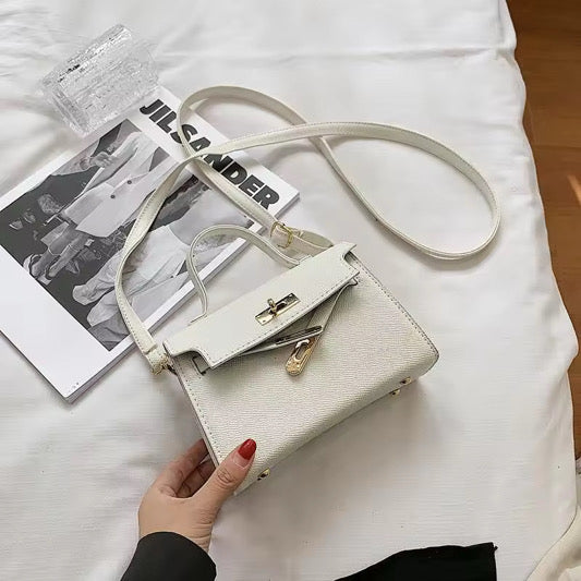 Mini Sac de Luxe – L’Élégance à Portée de Main
